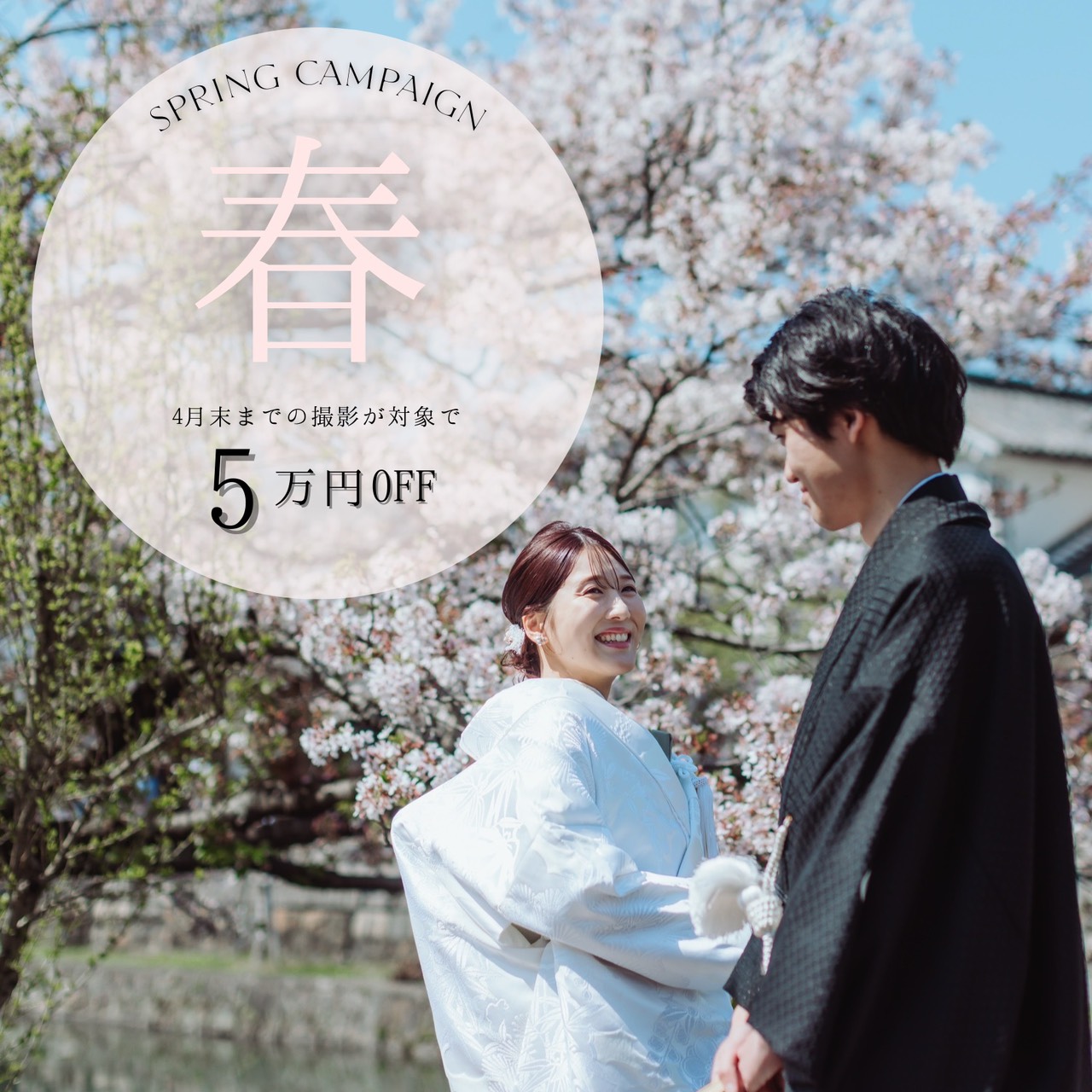 キャンペーン情報