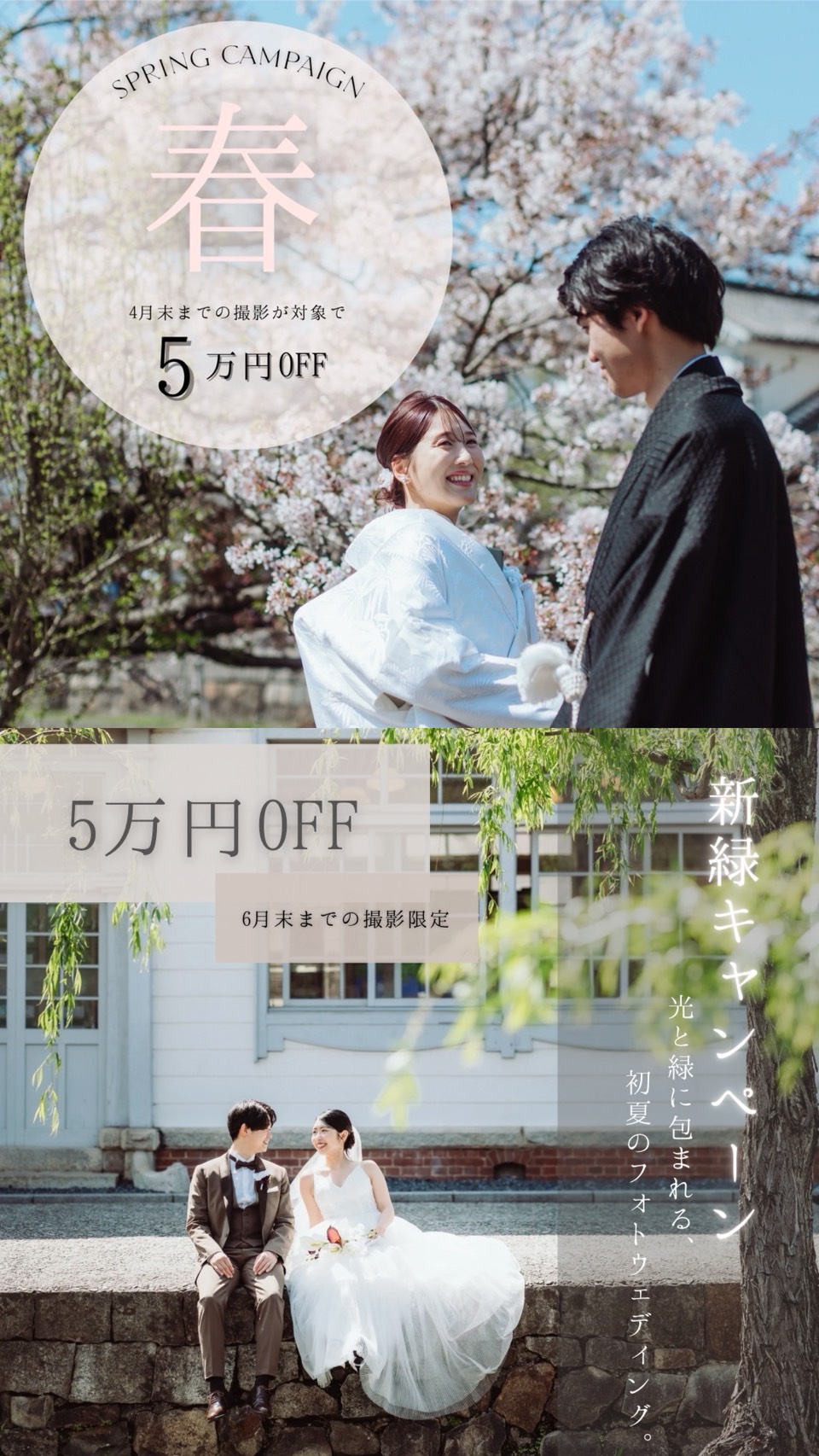 キャンペーン情報